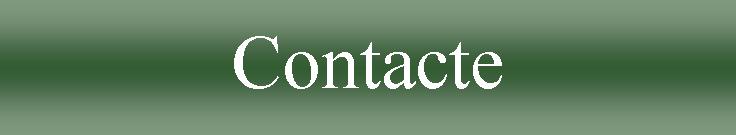 Foto contacto.cat.jpg