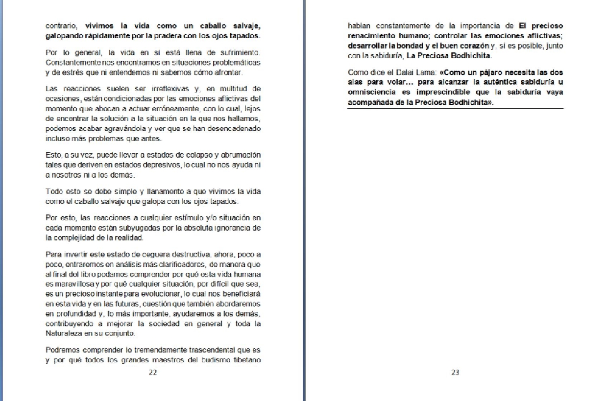 P22-23.jpg