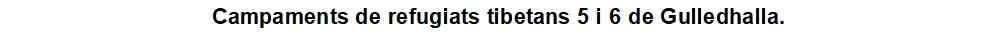 Campaments de refugiats tibetans 5 i 6 de Gulledhalla.
